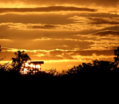 sunset photo credit John Heald